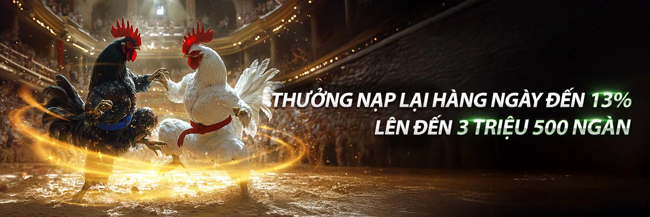 Sân vận động với ánh đèn rực rỡ, tượng trưng cho thế giới cá cược thể thao sôi động tại MB66