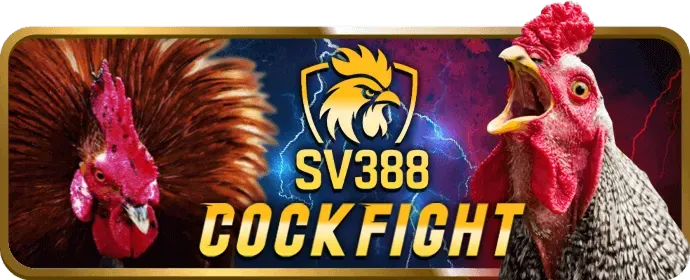 Chương trình VIP độc quyền tại MB66